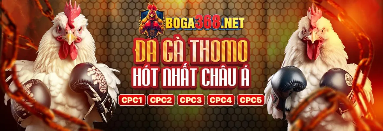 Sân vận động với khán giả đang cổ vũ, biểu tượng cho cá cược thể thao Lixi88
